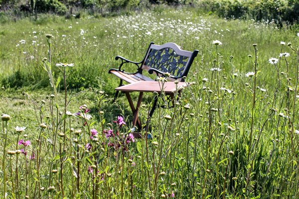 seat in orchard